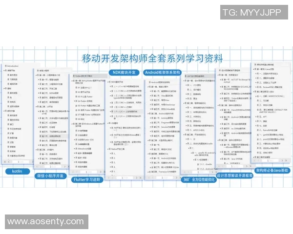 编织网足球的魅力与技术解析:从基础到进阶的全面指南 编织网足球的魅力与技术解析:从基础到进阶的全面指南