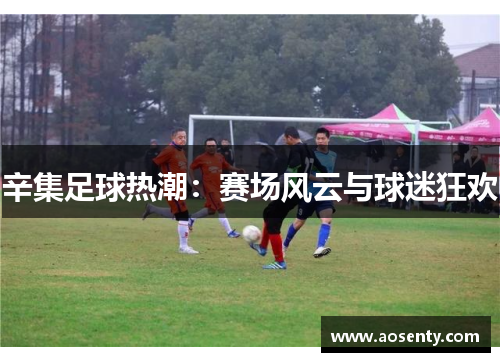 辛集足球热潮：赛场风云与球迷狂欢