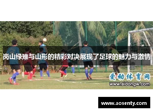 岗山绿雉与山形的精彩对决展现了足球的魅力与激情