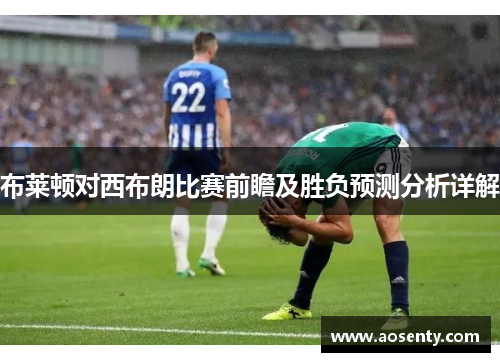 布莱顿对西布朗比赛前瞻及胜负预测分析详解
