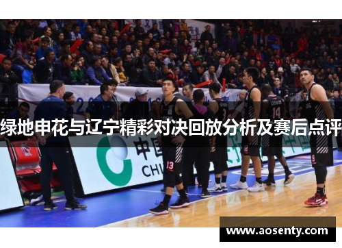 绿地申花与辽宁精彩对决回放分析及赛后点评